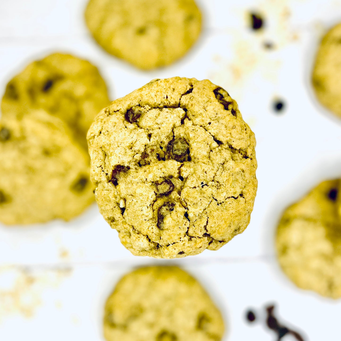 Classic Mix of 6 Quarter-Pound Plant-Based Cookies